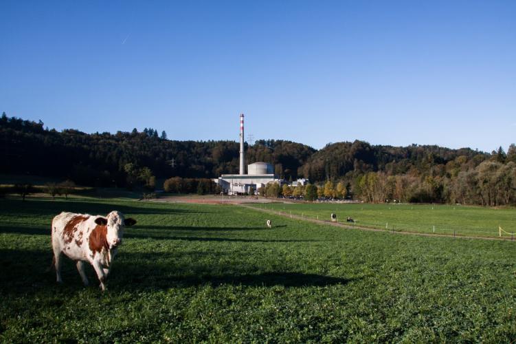 <i>Das Schweizer Kernkraftwerk Mühleberg. Foto: BKW Energie AG</i>