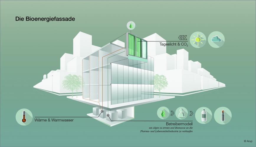 Die Bioenergiefassade nutzt das Sonnenlicht, um Wärme und Biomasse zu produzieren. In der Effizienz ist sie mit etablierten solaren Systemen vergleichbar. <i>Bildvermerk: Arup</i>